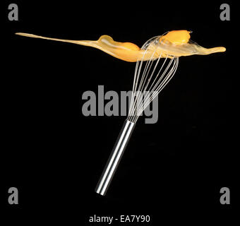 Coup d'oeufs fêlés isolé avec whip oeuf sur fond noir Banque D'Images