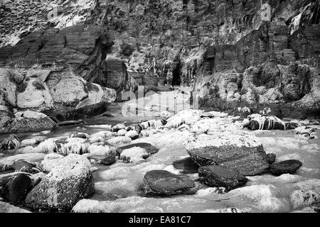 Photographie de paysage couvert de mauvaises herbes de mer rochers côtiers à Tresaith dans Ceredigion, pays de Galles, Royaume-Uni Banque D'Images