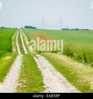 Route de campagne et de coquelicots. Une ferme route mène vers le pont du Grand Belt à l'horizon. Un champ de coquelicots rouges en éclosion frontières e Banque D'Images