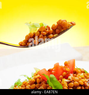 Libre d'une plaque avec une salade de lentilles Banque D'Images