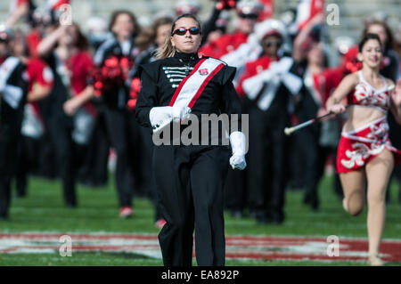 Raleigh, Caroline du Nord, États-Unis. Nov 8, 2014. 8 novembre 2014 - Raleigh, NC, USA - La N.C. State Wolfpack Marching Band prend le terrain pendant le match de samedi contre le Georgia Tech Yellow Jackets. Les Yellow Jackets défait le Wolfpack, 56-23. Credit : Timothy L. Hale/ZUMA/ZUMAPRESS.com/Alamy fil Live News Banque D'Images