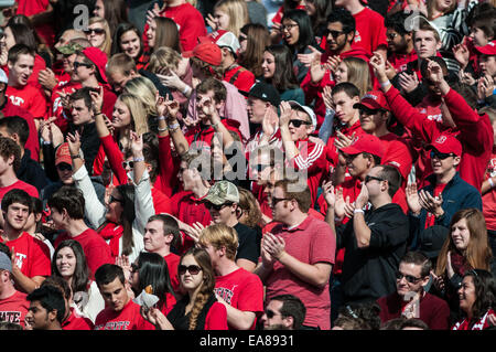 Raleigh, Caroline du Nord, États-Unis. Nov 8, 2014. 8 novembre 2014 - Raleigh, NC, USA - La N.C. State Wolfpack fans encourager leur équipe pendant le match de samedi contre les Georgia Tech Yellow Jackets. Les Yellow Jackets défait le Wolfpack, 56-23. Credit : Timothy L. Hale/ZUMA/ZUMAPRESS.com/Alamy fil Live News Banque D'Images