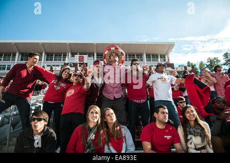 Raleigh, Caroline du Nord, États-Unis. Nov 8, 2014. 8 novembre 2014 - Raleigh, NC, USA - North Carolina State Wolfpack fans montrent leur esprit pendant le match de samedi contre le Georgia Tech Yellow Jackets. Les Yellow Jackets défait le Wolfpack, 56-23. Credit : Timothy L. Hale/ZUMA/ZUMAPRESS.com/Alamy fil Live News Banque D'Images