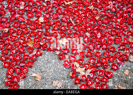 Affichage des coquelicots en céramique commémorative dans le fossé à la Tour de Londres. Les coquelicots à célébrer le 100e anniversaire de la première guerre mondiale. Des millions de personnes ont visité l'installation de 880 000 coquelicots en céramique par l'artiste Paul Cummins. Les coquelicots à célébrer le 100e anniversaire de la première guerre mondiale. Londres, Royaume-Uni. 6 novembre 2014 Banque D'Images