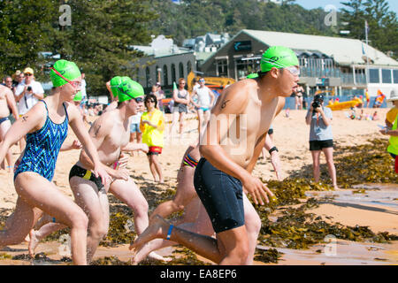 Sydney, Australie. Nov 9, 2014. Concurrents pour le 800m nage océan Pittwater series hébergé à Collaroy Beach, Sydney Pittwater la série Ocean swim est tenue à diverses plages du nord de Sydney. La course de 800 m est ouvert à tous. Crédit : martin berry/Alamy Live News Banque D'Images