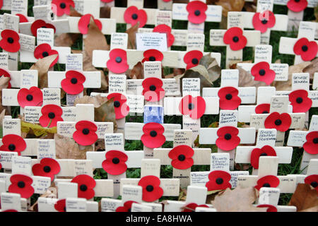 Londres, Royaume-Uni. Nov 8, 2014. Photo prise le 8 novembre 2014 montre le champ du souvenir à l'extérieur de l'abbaye de Westminster à Londres, au Royaume-Uni. Des milliers de coquelicots et croix sont plantées à l'extérieur du champ du souvenir de l'abbaye de Westminster pour commémorer ceux qui sont morts pendant la Première Guerre mondiale. Credit : Bimal Gautam/Xinhua/Alamy Live News Banque D'Images