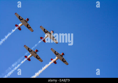 Quatre avions Harvard en formation au Lowveld Air Show Banque D'Images