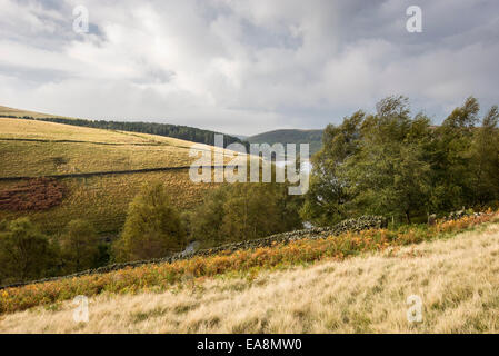 Paysage autour de Peak District réservoir près de Kinder Hayfield, Derbyshire. Banque D'Images