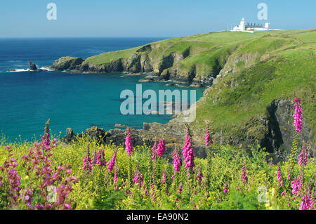 Le Housel Bay sur la péninsule de Lizard avec vue sur le phare de lézard Kerrier South West Cornwall South West England UK Banque D'Images