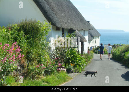Chaumières à l'Église Cove sur la péninsule de Lizard Kerrier South West Cornwall South West England UK Banque D'Images