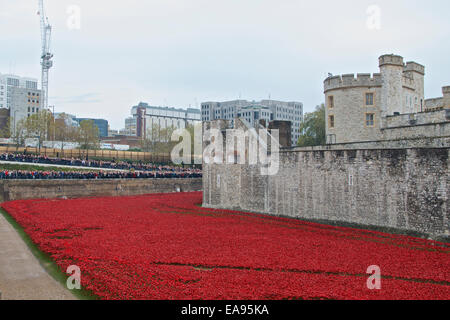 La foule applaudir après les deux minutes de silence le matin du souvenir dimanche 9 novembre 2014 à la Tour de Londres où le fossé est rempli de coquelicots commémoratifs. L'art de l'instillation intitulé Blood a balayé les terres et les mers de rouge, qui commémore le centenaire du début de la PREMIÈRE GUERRE MONDIALE en 1914 a attiré des millions de visiteurs. Banque D'Images