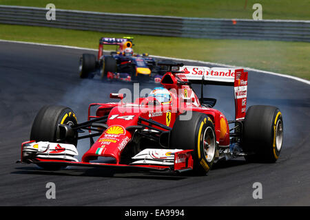 Sao Paulo, Brésil. 09Th Nov, 2014. Sport Automobile : Championnat du Monde de Formule 1 de la FIA 2014, Grand Prix du Brésil, # 14 Fernando Alonso (ESP, la Scuderia Ferrari), © AFP PHOTO alliance/Alamy Live News Crédit : afp photo alliance/Alamy Live News Banque D'Images