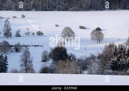 Hiver neige paysage près de Engenhahn dans le Taunus, Hesse, Allemagne Banque D'Images