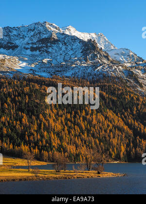 Lac dans les Alpes suisses - Beau paysage dans les Alpes Suisses sur un jour à l'automne. Banque D'Images