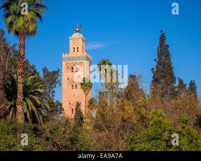 Vue de la tour de la vieille mosquée de Koutoubia de Marrakech' 'au Maroc Banque D'Images