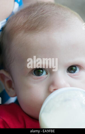 Boire du lait pour bébé Banque D'Images