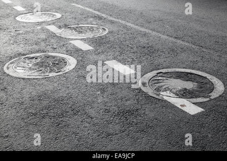 D'égout sur la route d'asphalte pavement Banque D'Images