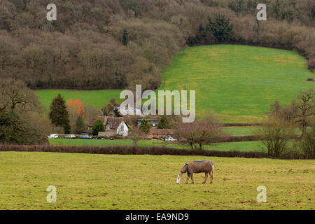 Dans le paysage anglais Blackdown Hills près du village de Blagdon Hill, Taunton, Somerset Banque D'Images