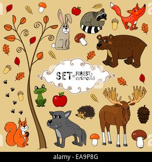 Animaux de la forêt du nord automne set vector illustration Illustration de Vecteur