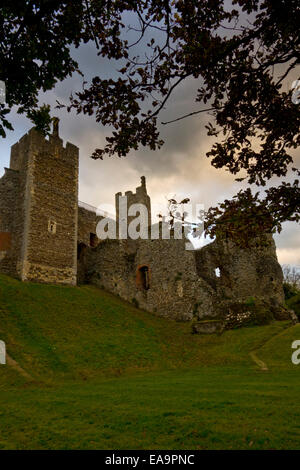 Les murs du château de Domfront Banque D'Images