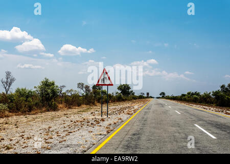 Route sans fin avec ciel bleu et signer les éléphants traversant en Namibie, parc de jeux, Caprivi avec ciel bleu Banque D'Images