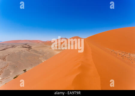 Dune 45 en Namibie sossusvlei, vue depuis le sommet d'une dune, meilleur endroit en Namibie Banque D'Images