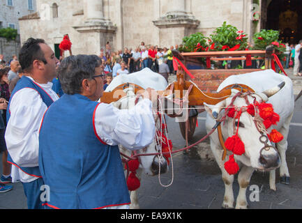 Procession de St Emygdius extérieur Duomo (la Cathédrale) dans Piazza Arringo, Ascoli Piceno, Marches, Italie Banque D'Images