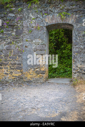 L'ancienne porte d'un jardin secret Banque D'Images