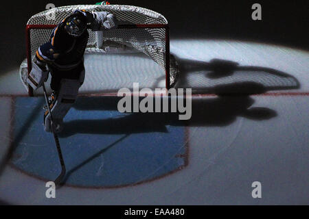 06 Nov, 2014 ST. Louis, MO : gardien des Blues de Saint-Louis (34) Jake Allen se tient dans l'ombre comme il est annoncé avant le début du jeu entre les Blues de St-Louis et les Devils du New Jersey au Scottrade Center à Saint Louis, Missouri. Le Blues a défait les Devils 4-3. © csm/Alamy Live News Banque D'Images