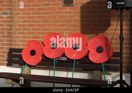 Souvenir géant coquelicots sur un banc Banque D'Images