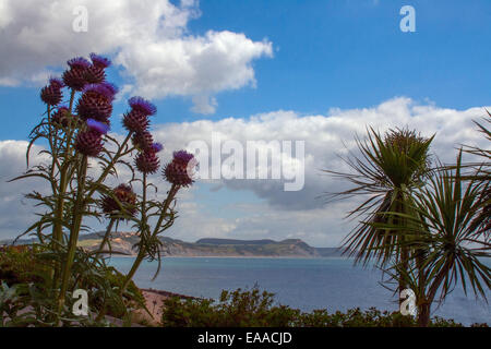 L'été à Lyme Regis à pour Golden Cap Banque D'Images