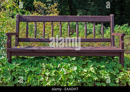 Banc vide et solitaire dans le parc envahie par les mauvaises herbes Banque D'Images