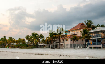 Floride [palmier] beach accueil bush Banque D'Images