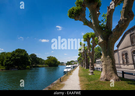 La Charente à Jarnac avec chemin de halage et arbres étêtés par le Quai de l'orangerie Banque D'Images