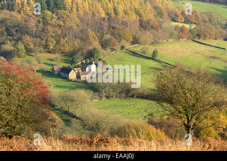 Une ferme isolée à Farndale sur le North Yorkshire Moors en automne. Banque D'Images