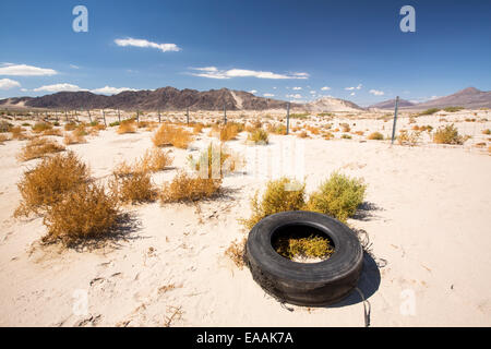 Pneus jetés dans le désert de Mojave en Californie, USA. Banque D'Images