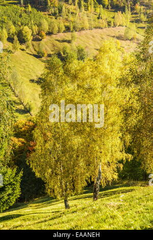 Paysage de campagne dans un village roumain à la nourriture de Piatra Craiului. Banque D'Images