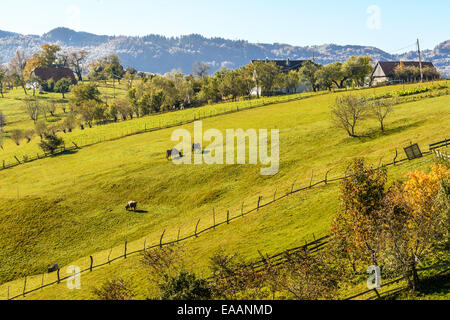 Paysage de campagne dans un village roumain à la nourriture de Piatra Craiului. Banque D'Images