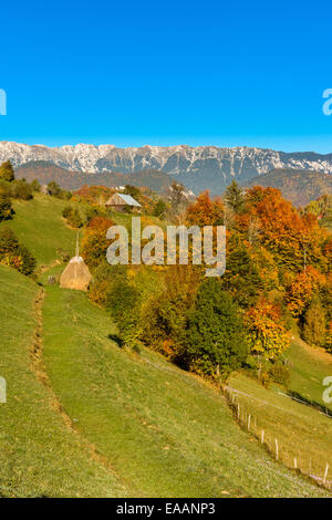 Paysage de campagne dans un village roumain à la nourriture de Piatra Craiului. Banque D'Images