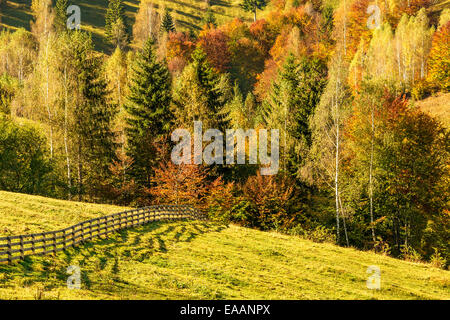 Paysage de campagne dans un village roumain à la nourriture de Piatra Craiului. Banque D'Images