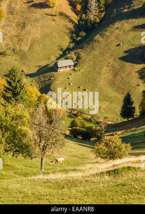 Paysage de campagne dans un village roumain à la nourriture de Piatra Craiului. Banque D'Images