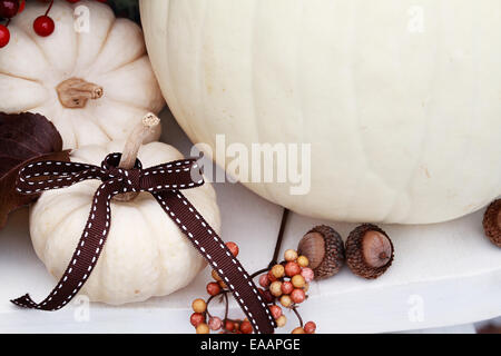 Blanc avec une belle citrouille brown bow. Banque D'Images