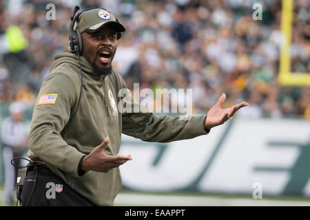 9 novembre 2014 : Pittsburgh Steelers Player Development Ray Jackson réagit au cours de la NFL match entre les Pittsburgh Steelers et les New York Jets à MetLife Stadium à East Rutherford, New Jersey. Les Jets de New York a gagné 20-13. Banque D'Images