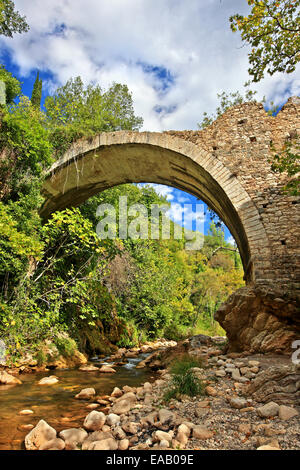 Vieux pont voûté en pierre sur la rivière Neda Neda, canyon, au 'frontières' de la Messénie et l'ILEIA, Péloponnèse, Grèce Banque D'Images