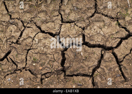 Sol sec en couleur avec des fissures Banque D'Images