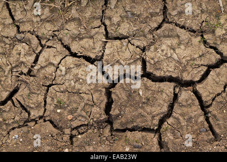 Sol sec en couleur avec des fissures Banque D'Images