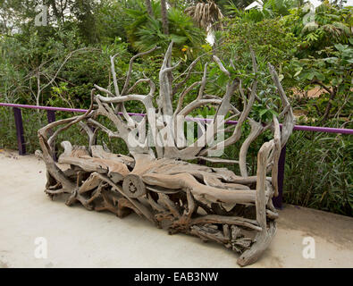 Unique & banc de jardin en bois artistique créé à partir de la racine de l'onagre énorme vieil arbre et feuillage vert émeraude contre d'arbustes Banque D'Images