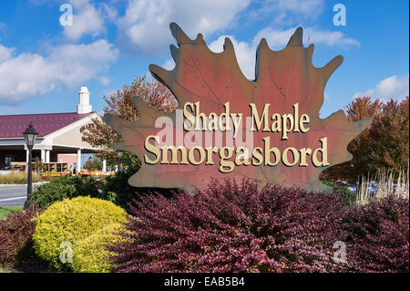 Maple Smorgasbord, ombragé East Earl, Lancaster, Pennsylvanie, USA Banque D'Images