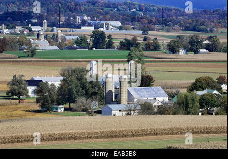 Les fermes amish et de champs, Ephrata, comté de Lancaster, Pennsylvanie, USA Banque D'Images