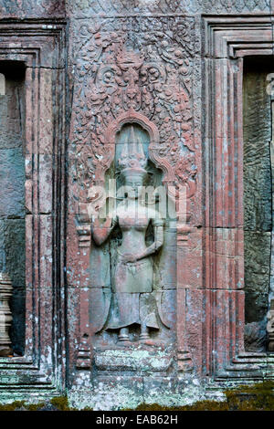 Le Cambodge. Ruines du Temple Ta Prohm, 12th-13th. Siècle. Devatas (divinités) Ligne le mur d'une cour intérieure en ruines. Banque D'Images